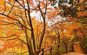 瀑布碧潭湖泊彩林，三千里漢江的秋色在這里縮略圖